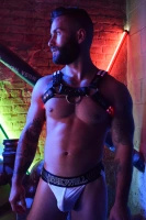 Breedwell Rave Bulldog Harness S/M