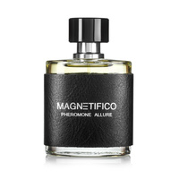 Perfume with male pheromones Valavani Magnetifico Allure for Man 50 ml