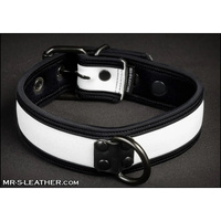 Mr-S-Leather Neo Bold Color Puppy Collar White S-L