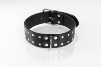 Black Double-Studded Collar Size S Primal Bond Whips