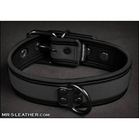 Mr-S-Leather Neo Bold Color Puppy Collar Grey S-L