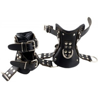 Mister B Premium Ankle Suspension Restraints