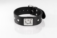 Black Studded Collar Size S Primal Bond Whips