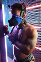 Breedwell Poundtown Pup Mask 2.0 Blue