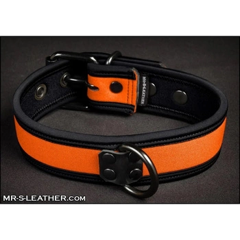 Mr-S-Leather Neo Bold Color Puppy Collar Orange S-L