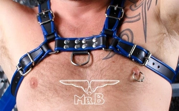 Chest Harness Black/Blue