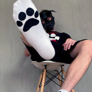 Sk8erboy Puppy Short Crew Socks White 39-42