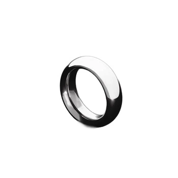 Steel MAGNETIC DONUT Ring S Titus