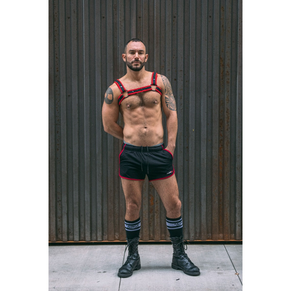 Mr-S-Leather Neo Carbon Black Bulldog Harness Red L/XL
