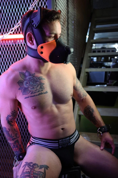 Маска собаки Poundtown Pup Mask 2.0 Neon Orange Breedwell