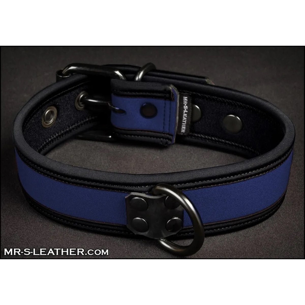 Neo Bold Color Puppy Collar Royal S-L Mr-S-Leather