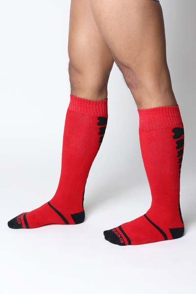 CellBlock13 Kennel Club Bones Knee High Sock Red 42-47