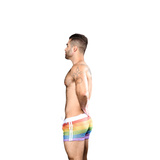 Pride Mesh Stripe Shorts L Andrew Christian
