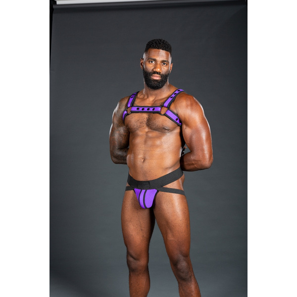 Mr-S-Leather Neo Bold Color Bulldog Harness Purple S/M