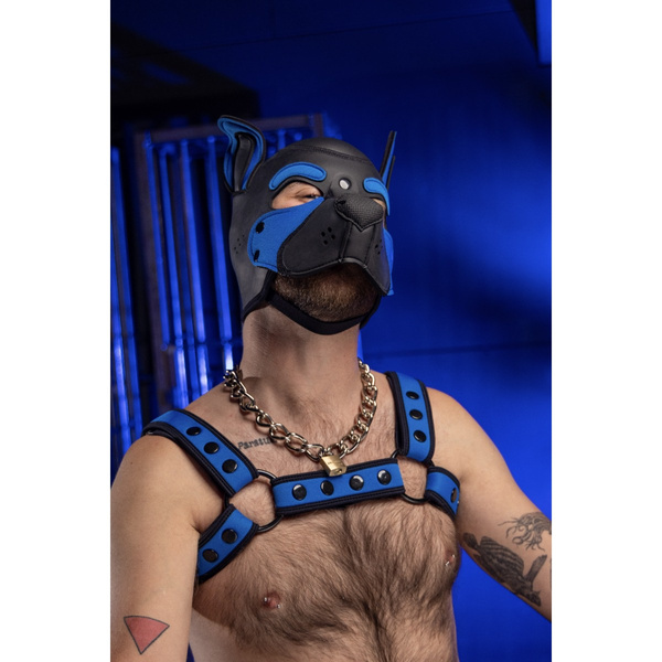 Mr-S-Leather Neoprene Frisky Pup Hood Cobalt L