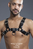 Chest Harness Saddle Leather Black