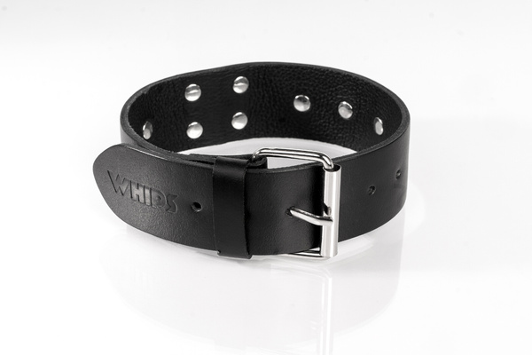 Нашийник з шипами чорний L Primal Bond Whips