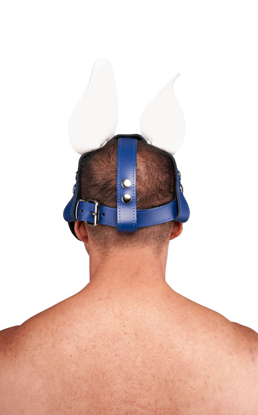 Шкіряний Circuit Shaggy Dog Hood Blue White Mister B