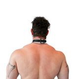 Нашийник Vegan Puppy Collar Black-White Brutus