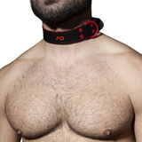 Fetish Leather Collar Red Addicted