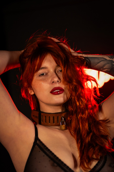 Нашийник з замком коричневий L Primal Bond Whips