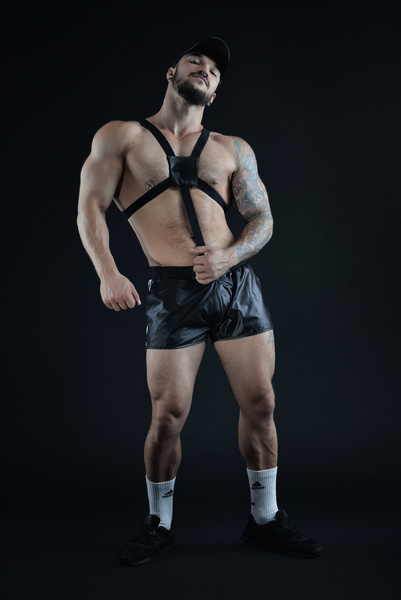 Bull Harness.02 XL