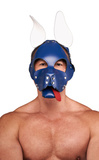Leather Circuit Shaggy Dog Hood Blue White Mister B