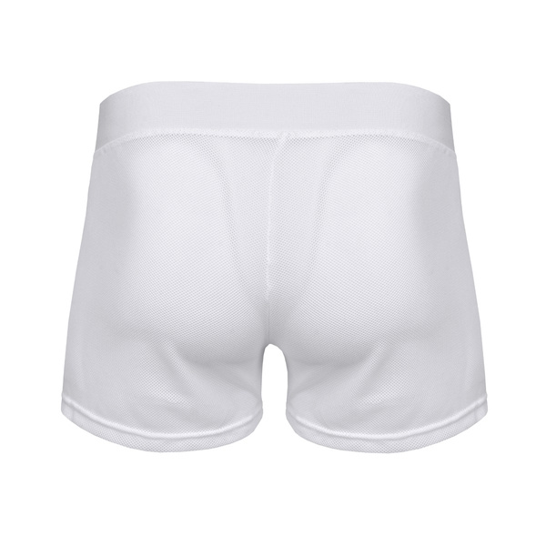 Basic Shorts.05 L BULL