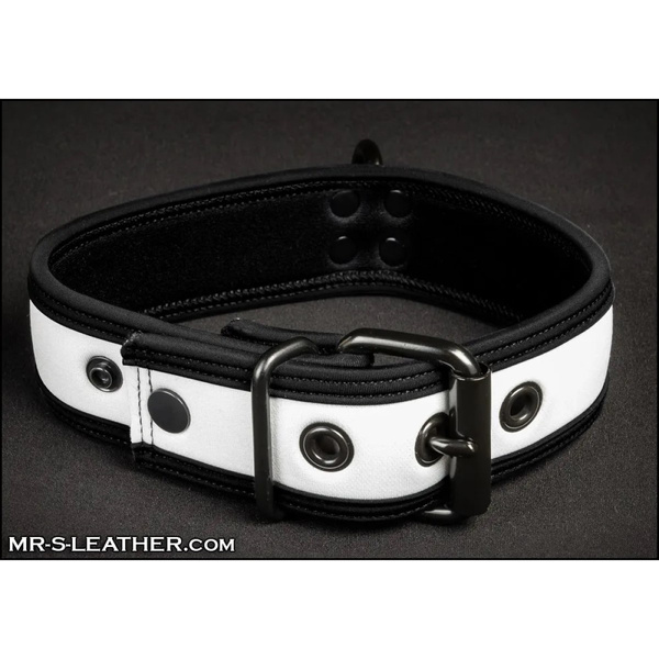 Neo Bold Color Puppy Collar White L-Xxl Mr-S-Leather