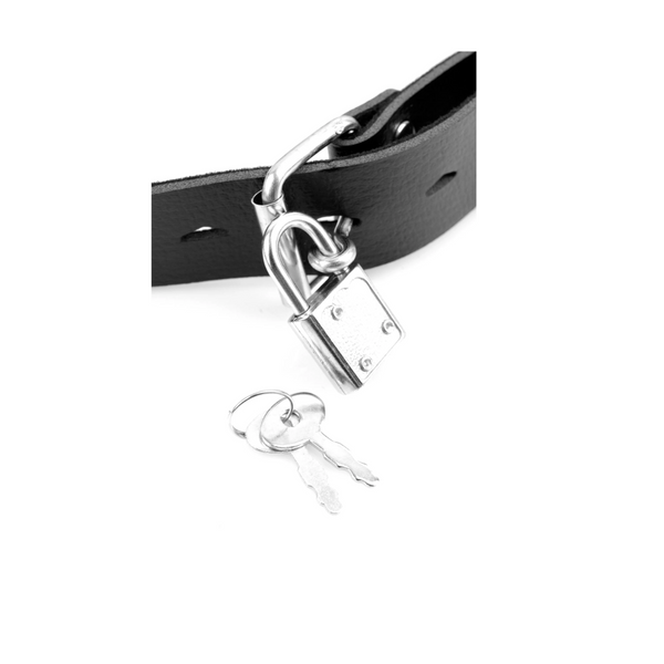 Fetish Fantasy Series Deluxe Ball Gag With Dildo