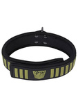 Fort TroFF Tactical Collar and Leash Black/Green
