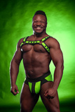 Mr-S-Leather Neo Bold Color Bulldog Harness Lime S/M