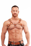 Mister B Leather Chest Harness Saddle Leather Brown S