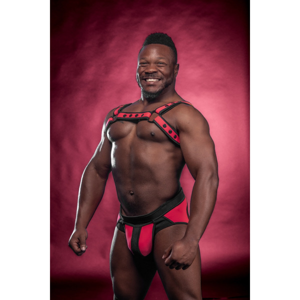 Mr-S-Leather Neo Bold Color Bulldog Harness Pink L/XL