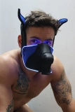 Maska Psa Poundtown Pup Mask 2.0 Blue Breedwell