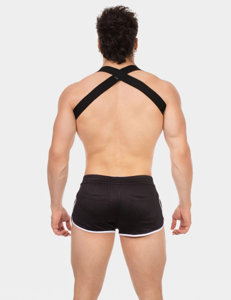 Harness Everette Black L Barcode