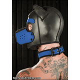 Neo Bold Color Puppy Collar Cobalt S-L Mr-S-Leather