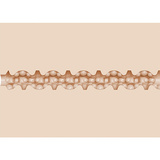 Masturbator Boys Griffin Barrows Cake Fleshjack