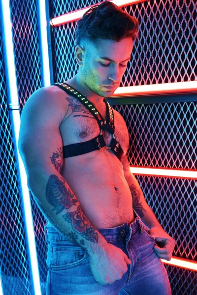 Uprząż Soundwave Cross Harness L/Xl Breedwell