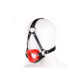 Generique Baillon SM Lips and Harness