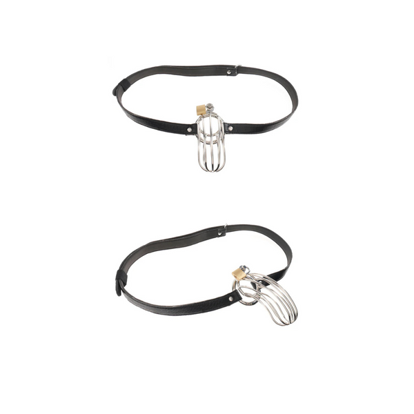 Fetish Fantasy Extreme The Prisoner