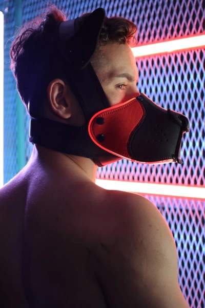 Maska Psa Poundtown Pup Mask 2.0 Red Breedwell