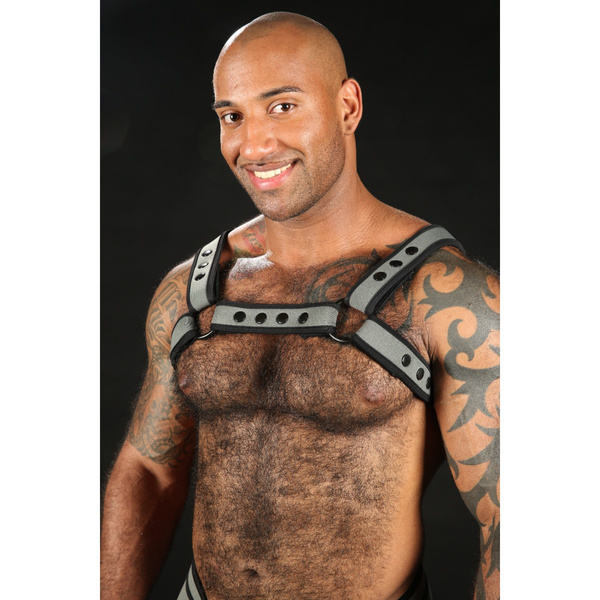 Neo Bold Color Bulldog Harness Grey L/Xl Mr-S-Leather