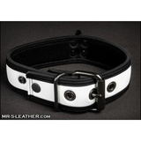 Neo Bold Color Puppy Collar White L-Xxl Mr-S-Leather