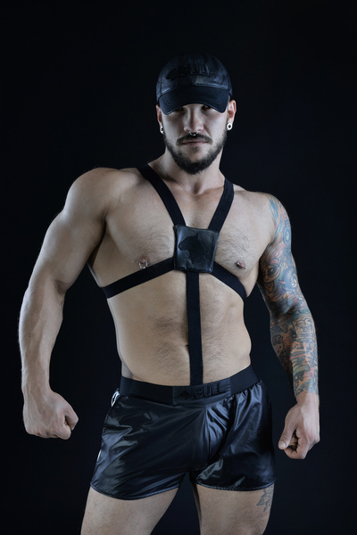 Harness.02 Xl BULL