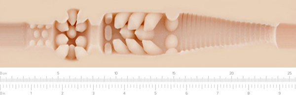 Masturbator Girls Stoya Destroya Fleshlight