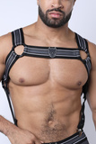 Cellblock13 Kennel Club Atlas Harness Grey XL