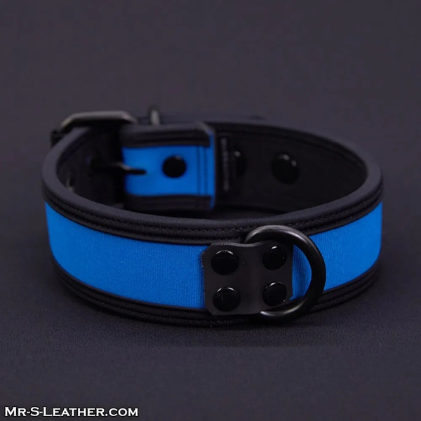 Mr-S-Leather Neo Bold Color Puppy Collar Cobalt S-L