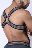 Cellblock13 Kennel Club Atlas Harness Grey XL
