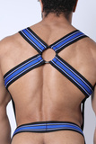 Cellblock13 Kennel Club Atlas Harness Blue XL